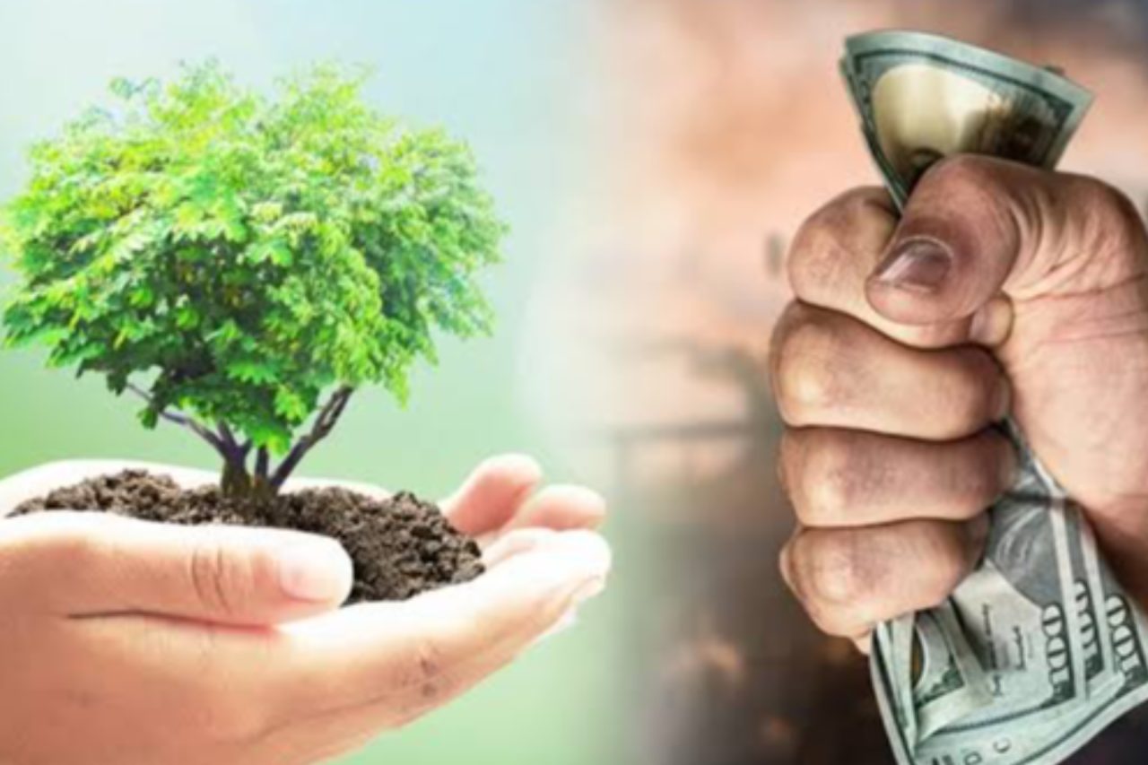 150 Poplar Trees Cut Down in Exchange for a Computer Worth 11 Million UZS?