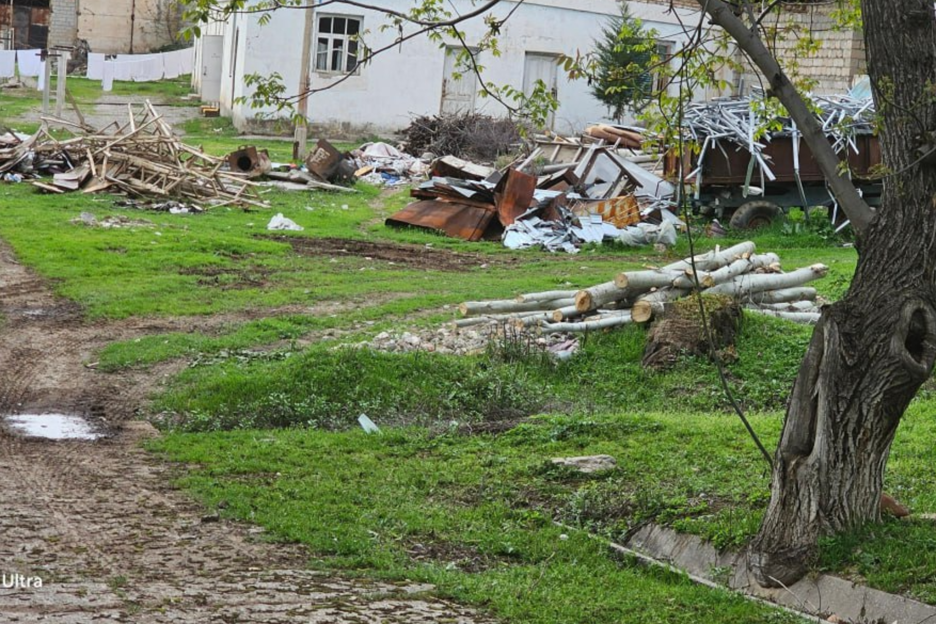 Trees, landfills, and animal killing | Quote Podcast