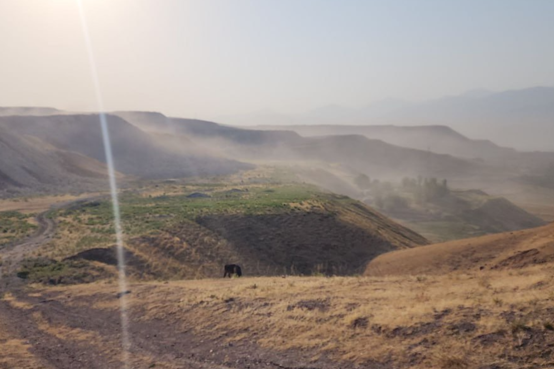 Ekologik muvozanatga jiddiy tahdid