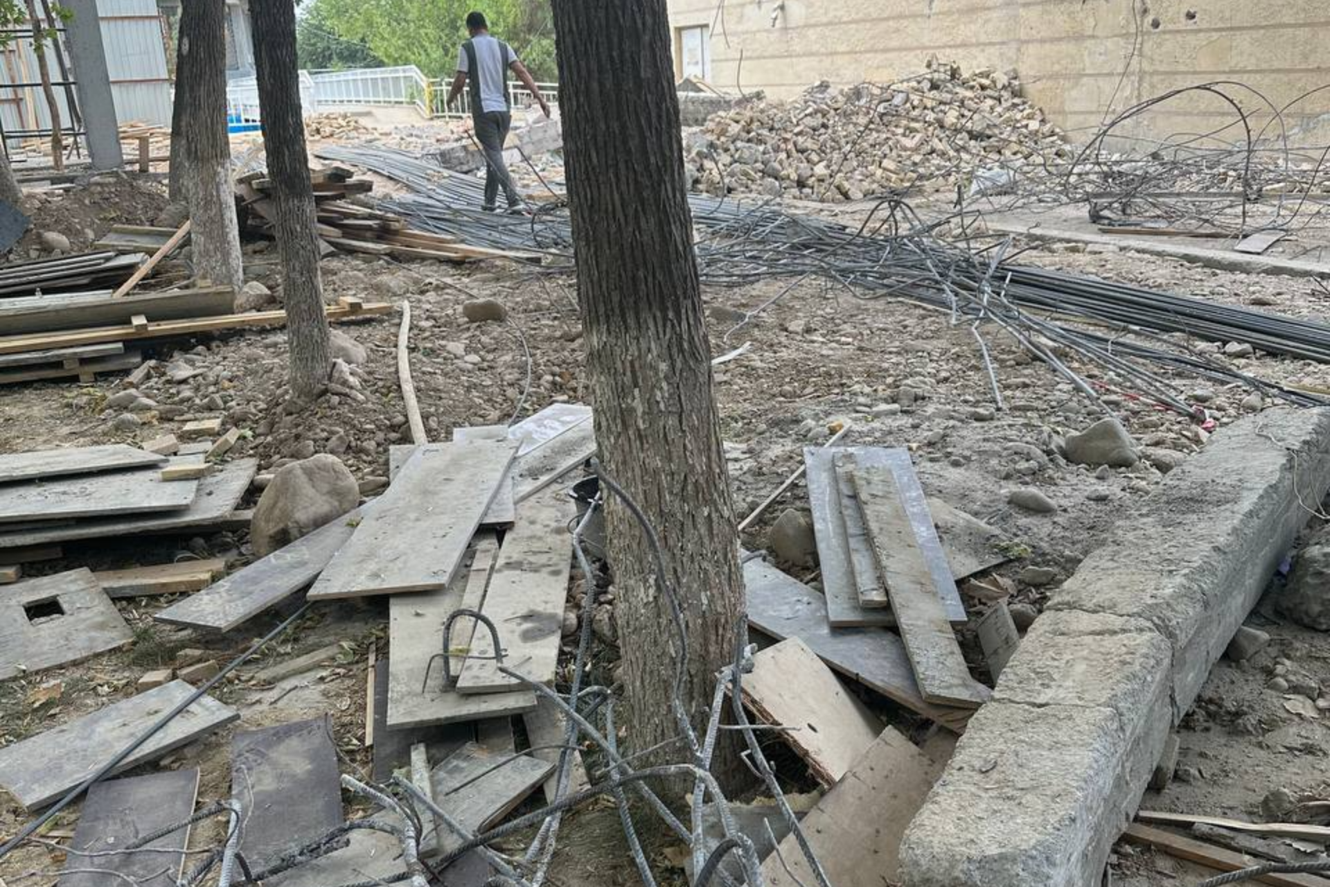 Toshkentda bolalar salomatligi va daraxtlar xavf ostida