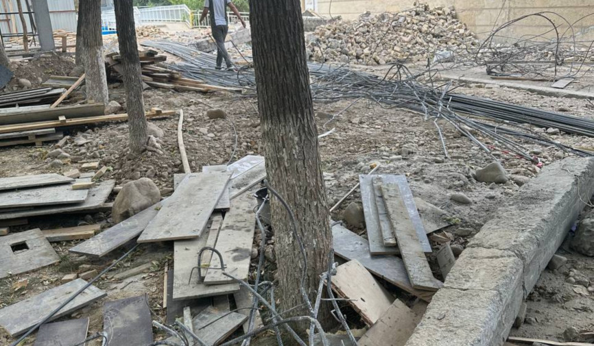 Toshkentda bolalar salomatligi va daraxtlar xavf ostida