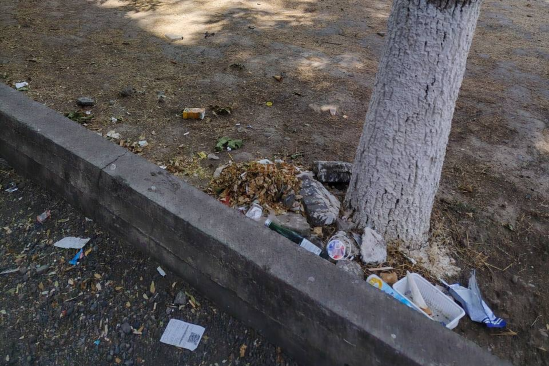 Appeal for the Improvement and Greening of the Area in Aviasozlar-2 Residential District
