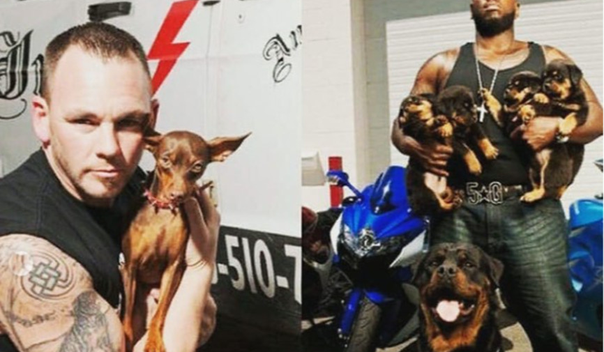 Hayvonlarni himoya qilish haqida gap ketganda, ko‘pchilikning ko‘z oldiga veterinariya shifokorlari, boshpana xodimlari yoki ko‘ngillilar keladi. Biroq dunyoda hayvonlarni himoya qilishga o‘z hayotini bag‘ishlagan, tashqi ko‘rinishi bilan esa mutlaqo boshqa taassurot qoldiradigan insonlar ham bor. AQShning Nyu-York shahrida tashkil etilgan Rescue Ink ana shunday noyob tashkilotlardan biridir.