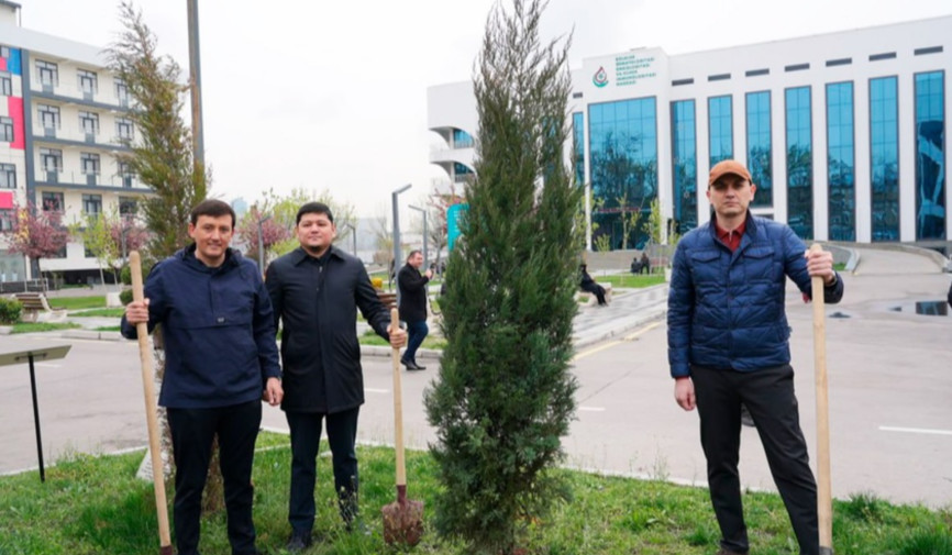 Toshkentda «Bir million daraxt» aksiyasi o‘tkazildi