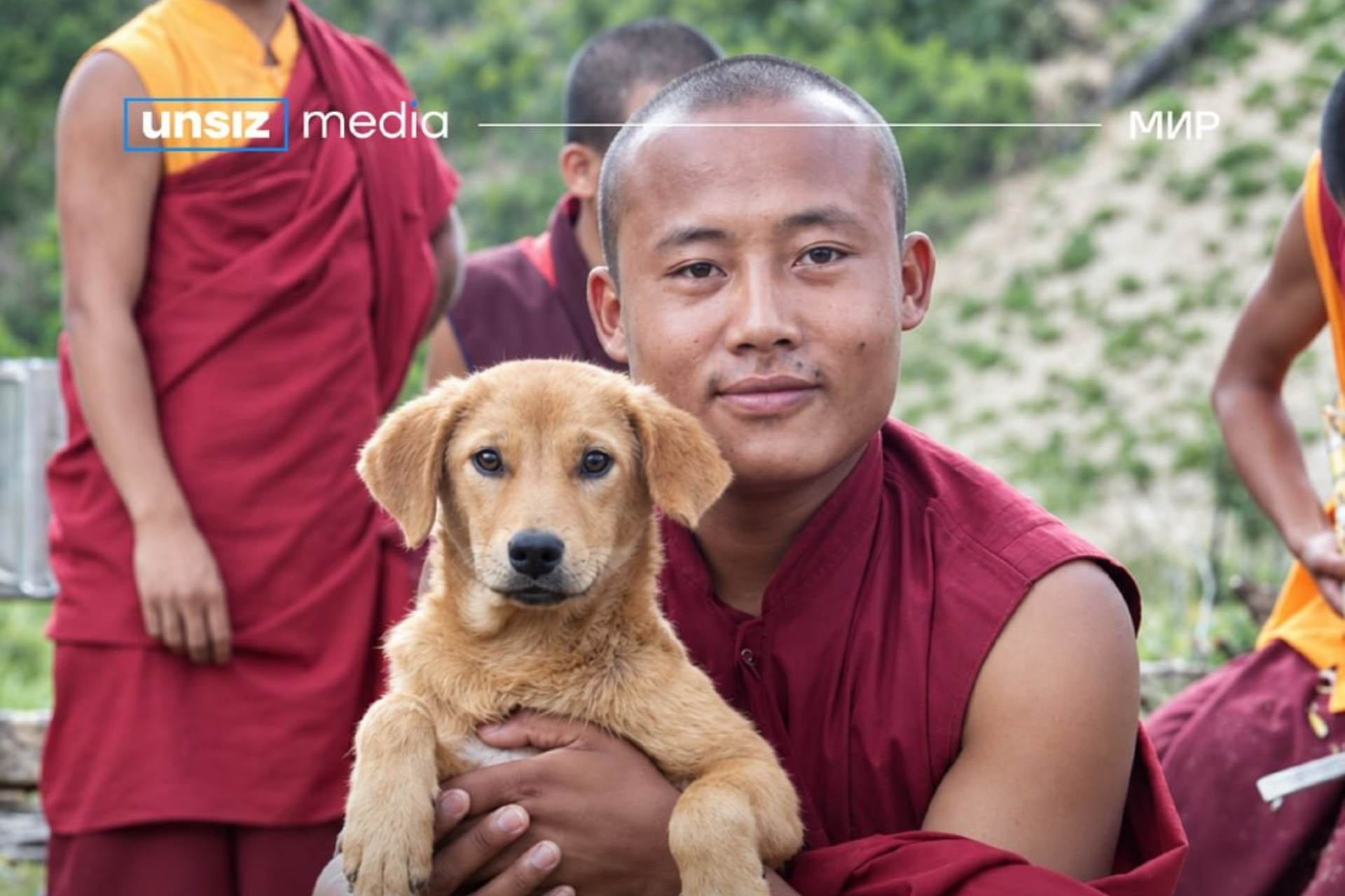 Bhutan Defeats Rabies Without Mass Culling of Animals