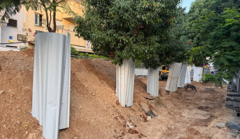 Tel-Avivda daraxtlar nega bunchalik qattiq himoya qilinadi?