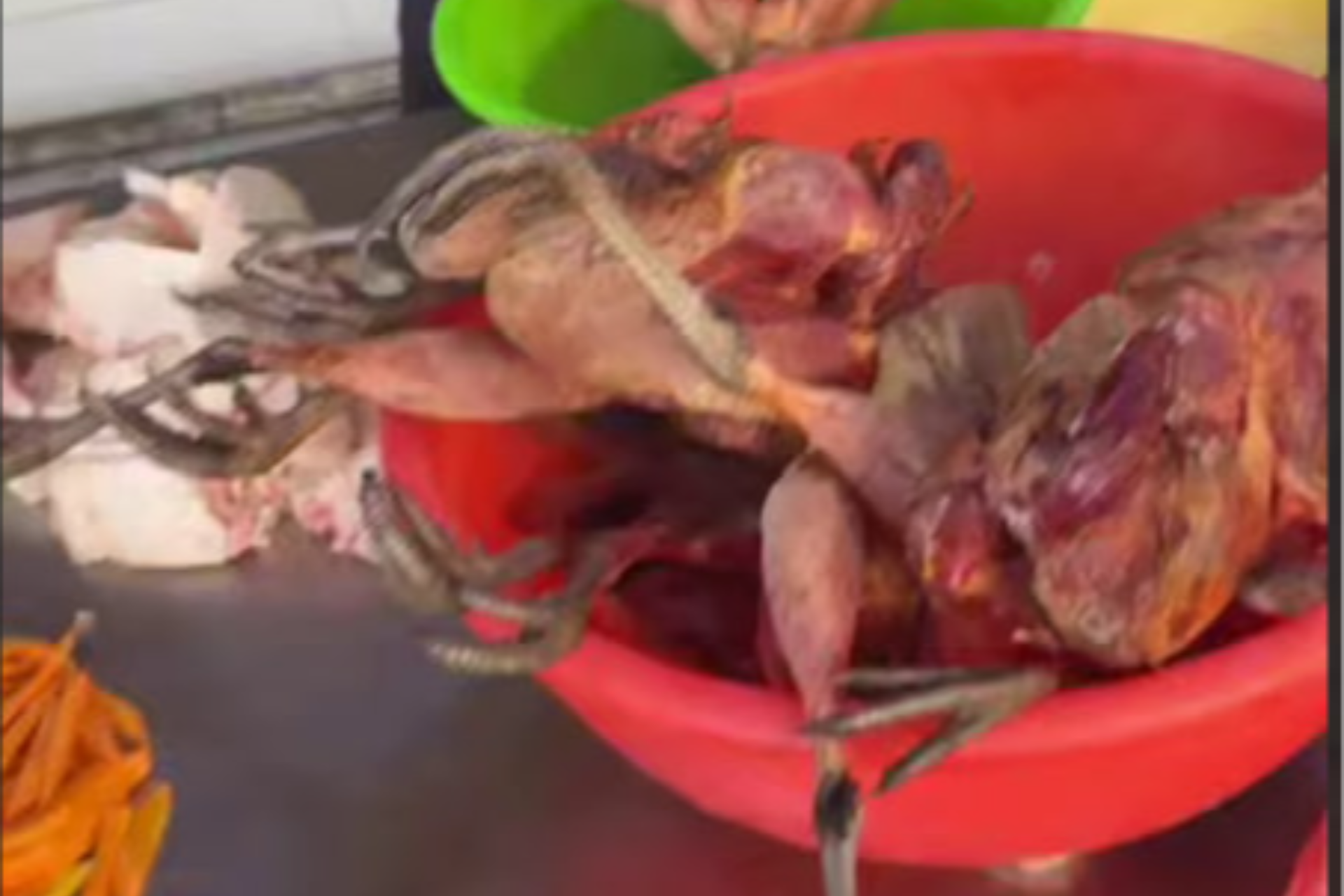 Toshkent viloyatining Yangi yo‘l shahrida joylashgan “Ulfatlar” choyxonasida qirg‘ovul va chumchuq go‘shtidan shashlik tayyorlanayotgani haqida ma’lumotlar kelib tushmoqda.