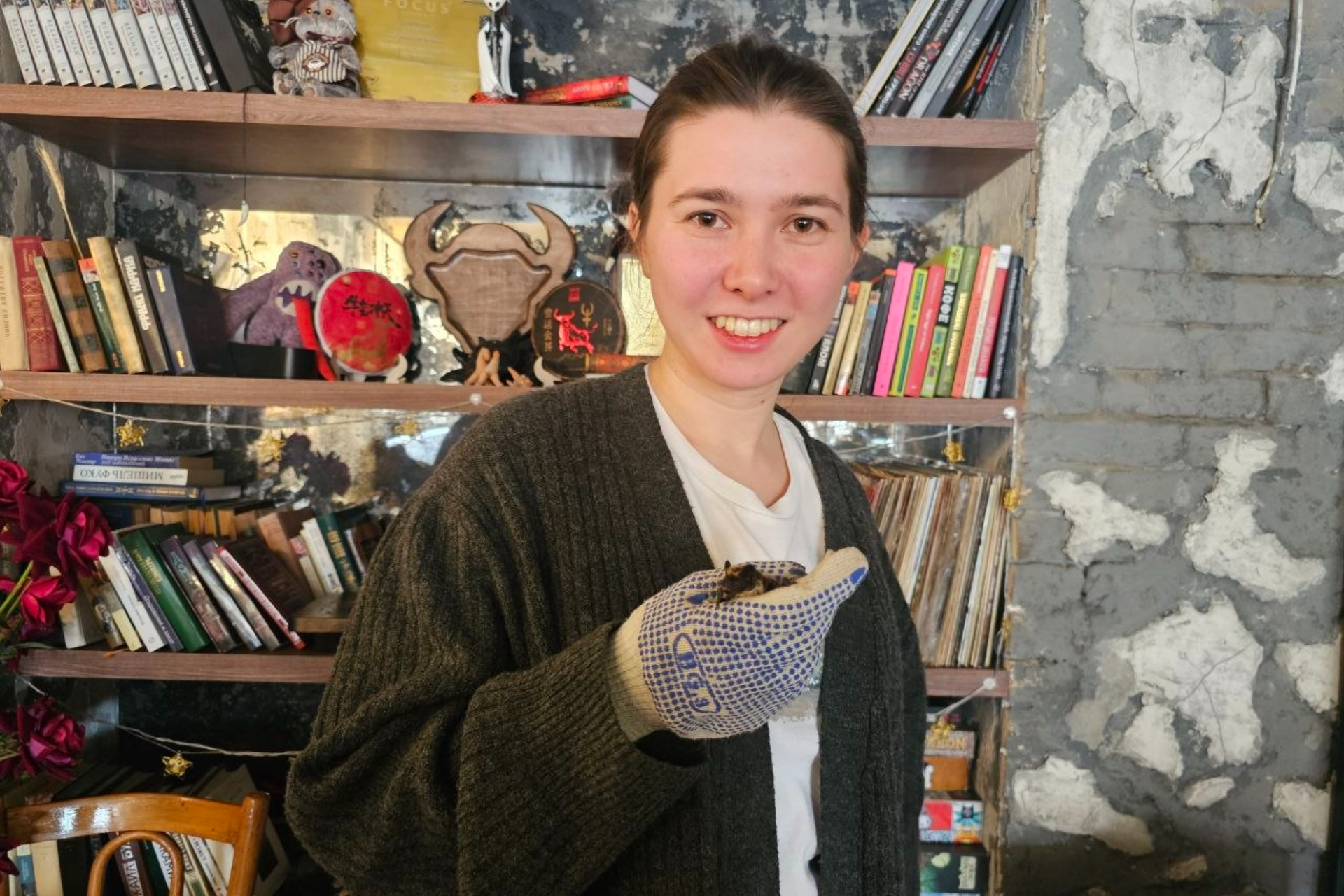 Vampirlar emas, balki ittifoqchilar: Nima uchun ko'rshapalaklarning yo'q bo'lib ketishi odamlar uchun xavfli?