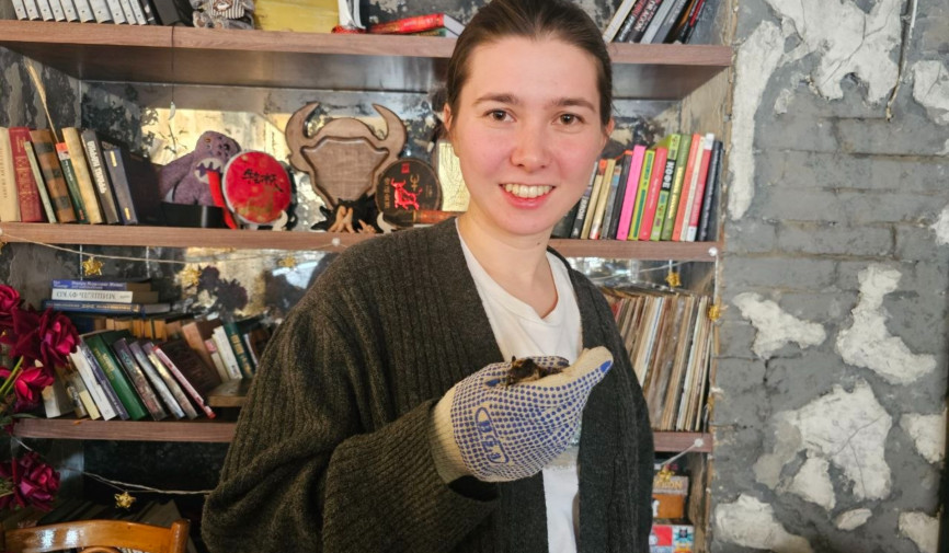 Ko'rshapalaklar O'zbekiston ekotizimining muhim qismidir. Ular atrof-muhit holatining o'ziga xos ko'rsatkichi bo'lib xizmat qiladi. Lekin nima uchun ularning soni kamayib bormoqda? Ulardan qo'rqish qaerdan kelib chiqadi? Ularning qon ichishi rostmi?