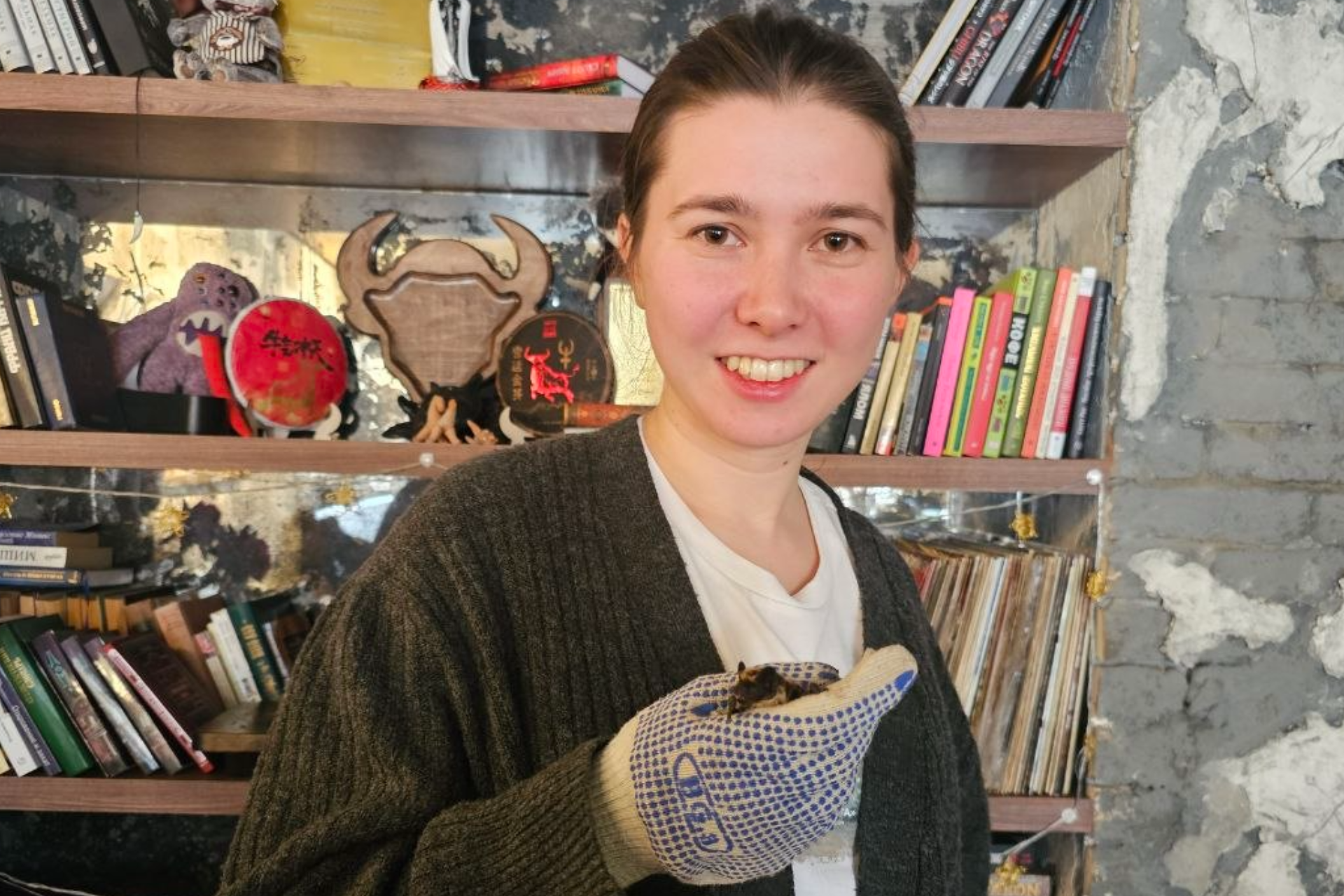 Не вампиры, а союзники: почему исчезновение летучих мышей опасно для людей