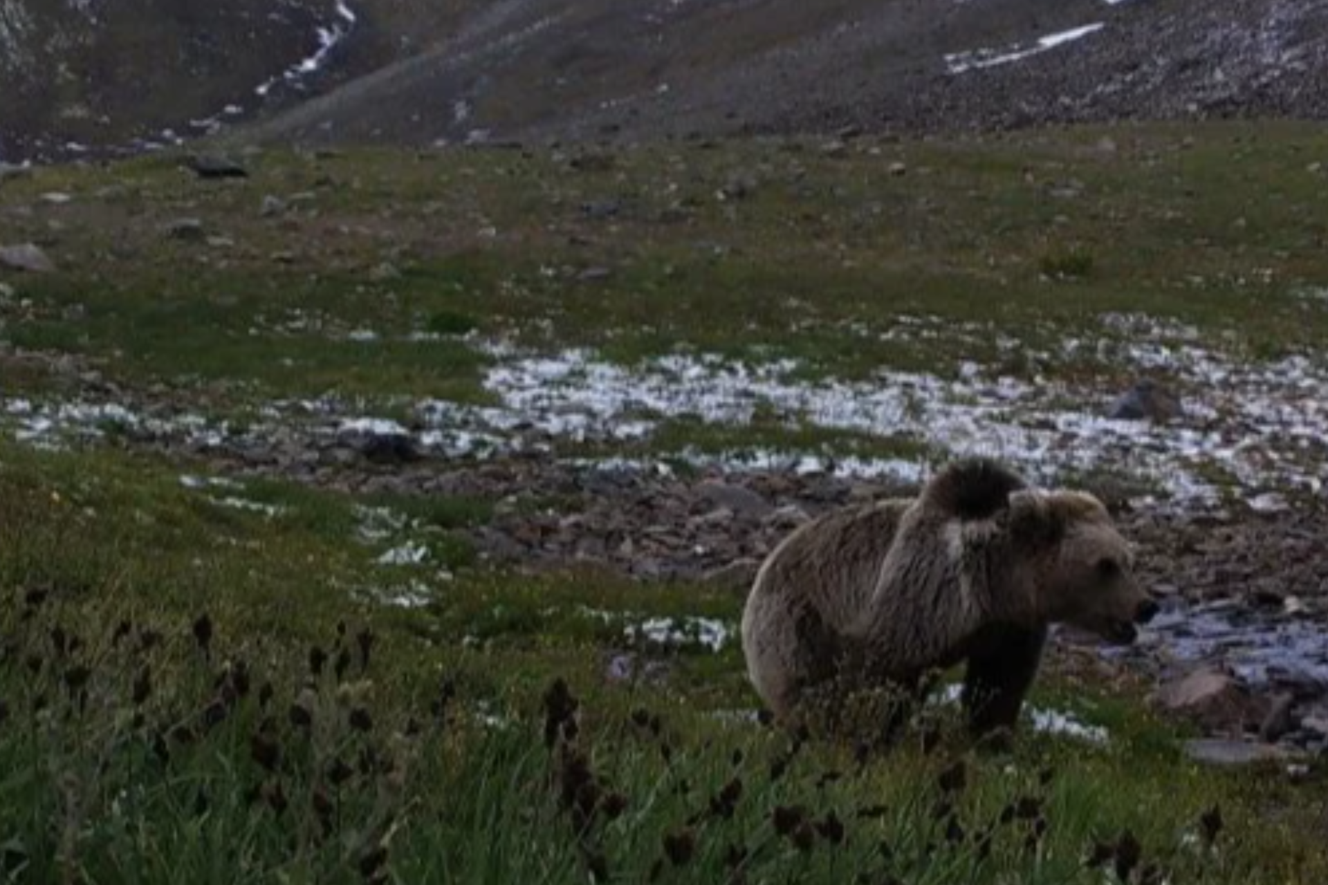 O‘zbekiston tabiati himoyada: minglab gektar yerlar milliy bog‘larga aylantirildi