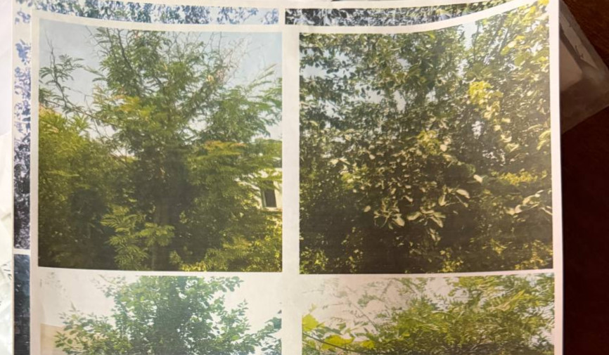 Kogon shahridagi Korovulbozor shox ko‘chasida joylashgan 13a va 13g-sonli ko‘p qavatli uylar aholisi jiddiy muammo bilan yuzlashmoqda.